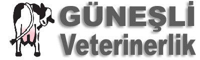 Gürbüz GEDİK
